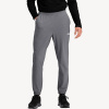 Брюки TNF Wander Jogger 2.0 (Мужской; S; SmokedPearl)